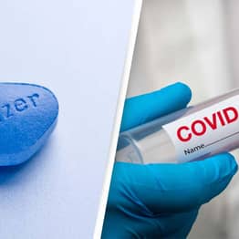 Pfizer’s Covid Pill Officially Approved For Use In The UK