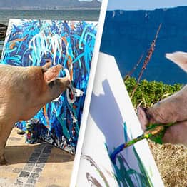 ‘Pigcasso’ Sells Painting For £20,000