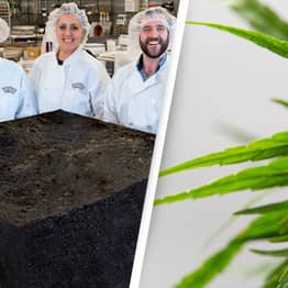 Cannabis Dispensary Bakes World’s Largest Weed Brownie