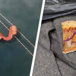 2021’s Weirdest Charity Shop Donations Include False Teeth And Slice Of Pizza