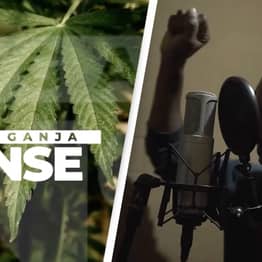 Jamaican Government Launches Campaign Promoting How Great Weed Is