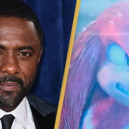 Idris Elba’s ‘Sexy Knuckles’ Debuts In Sonic The Hedgehog 2 Trailer