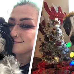 Pet Owners Reveal How Much They Spend On Animals At Christmas