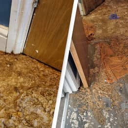 Woman Horrified After Poo Explosion Covers Home In Human Faeces