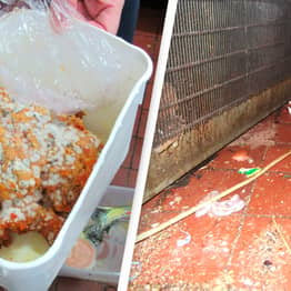 Restaurant Owner Who Pretended Mouldy Chicken Was ‘Boiled Crab Meat’ Fined
