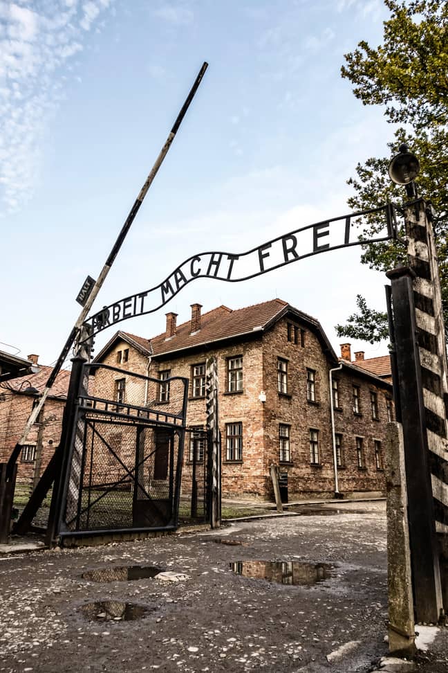 Auschwitz (Alamy)