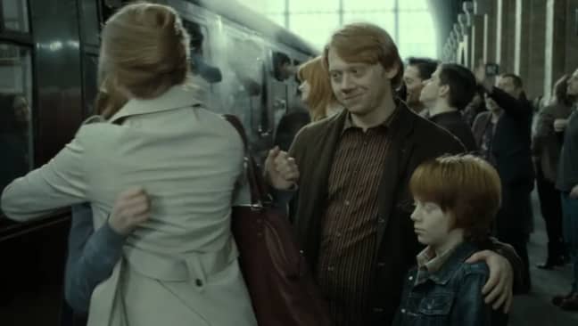 Rupert Grint Fat Suit Harry Potter Reunion - HBO Max