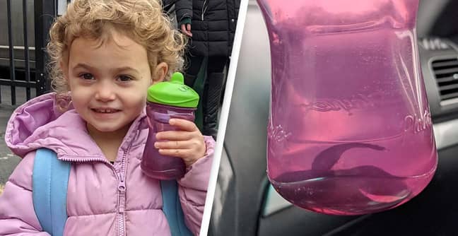 Girl Forgot She Snuck Her Pet Fish Into School In Her Sippy Cup Until She Made A Huge Mistake
