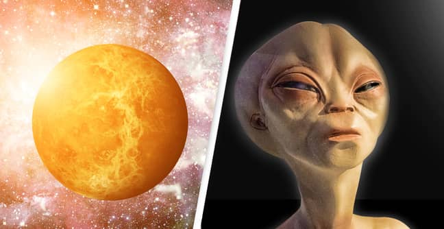 Alien Lifeforms ‘Unlike Anything We’ve Seen’ Could Be Hiding' In Venus, Scientists Say