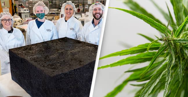 Cannabis Dispensary Bakes World's Largest Weed Brownie
