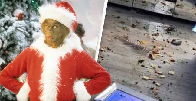Mum Who Hired The Grinch To Destroy Her House Deeply Regrets It After The Grinch Left Her House Destroyed