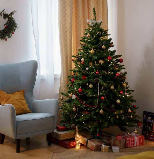 Christmas tree (Pexels)