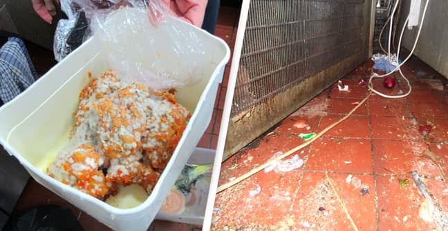 Restaurant Owner Who Pretended Mouldy Chicken Was 'Boiled Crab Meat' Fined