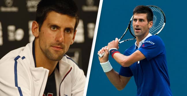 Lawyer Spots Major 'Error' On Novak Djokovic's Visa Documents