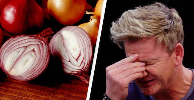 'Tearlessness' Onions That Won’t Make You Cry To Launch In The UK 