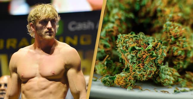 Logan Paul Reveals He's Suffering Withdrawal Symptoms After Giving Up Weed